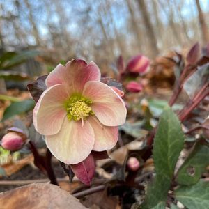 Meet your Posher, Michelle